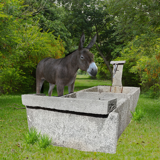 Ancient wash house